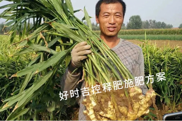 姜農(nóng)滿(mǎn)意，效果杠杠的！